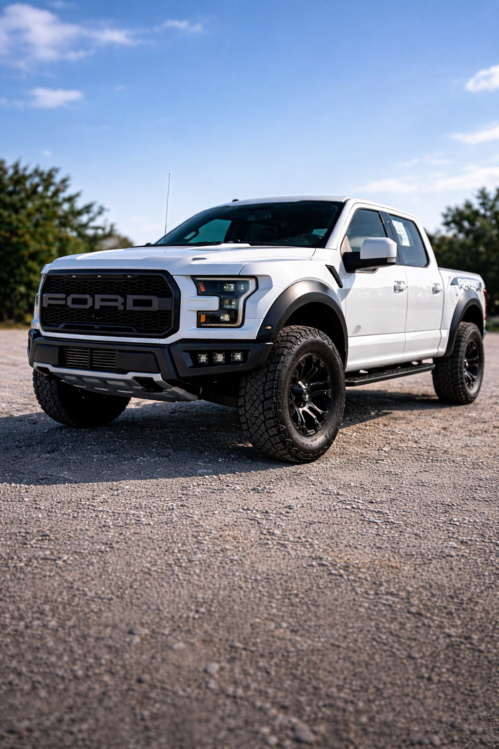 2019 Ford Raptor - exterior photo