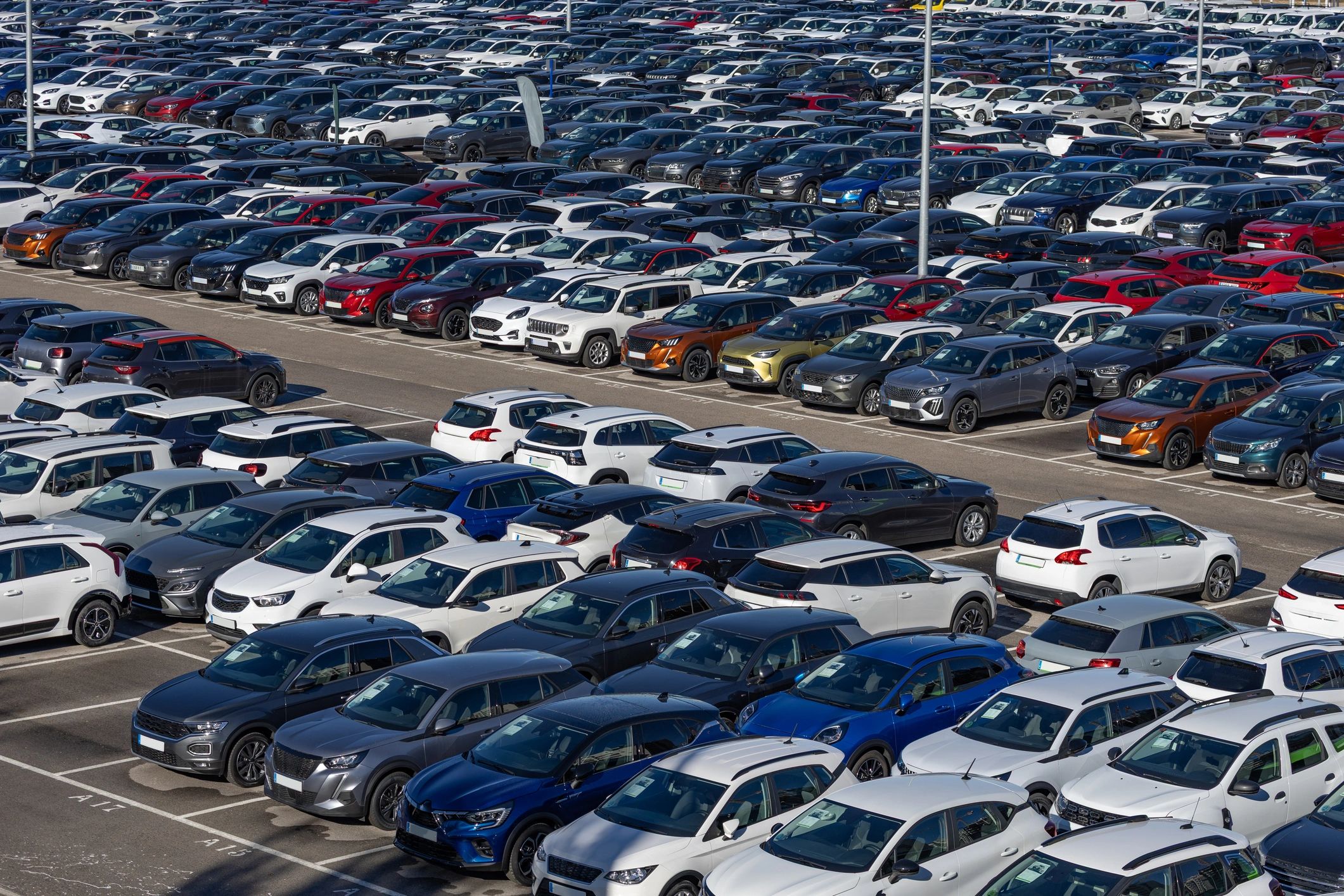 Vehicles lined up at a dealership lot